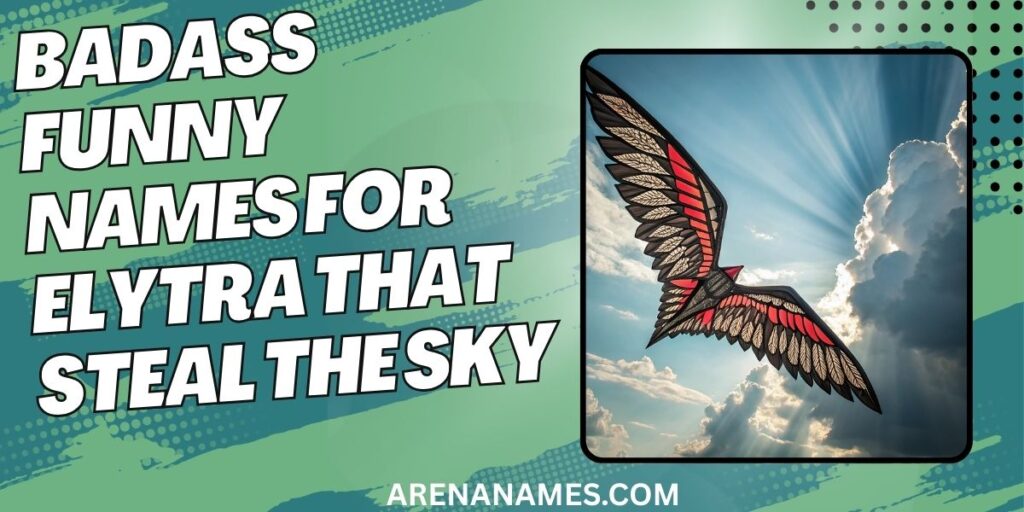 Badass Funny Names For Elytra That Steal The Sky