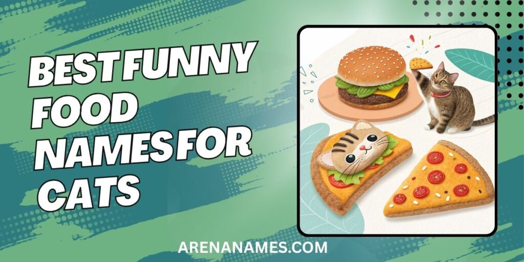 Best Funny Food Names For Cats