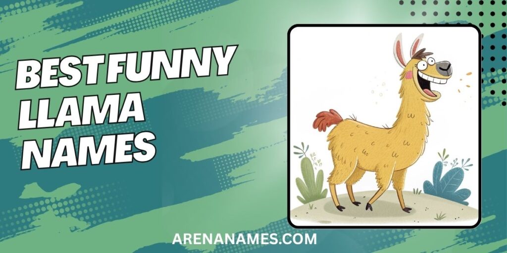 Best Funny Llama Names