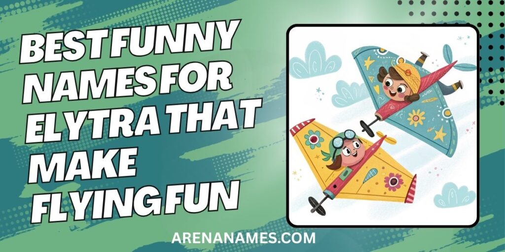 Best Funny Names For Elytra That Make Flying Fun