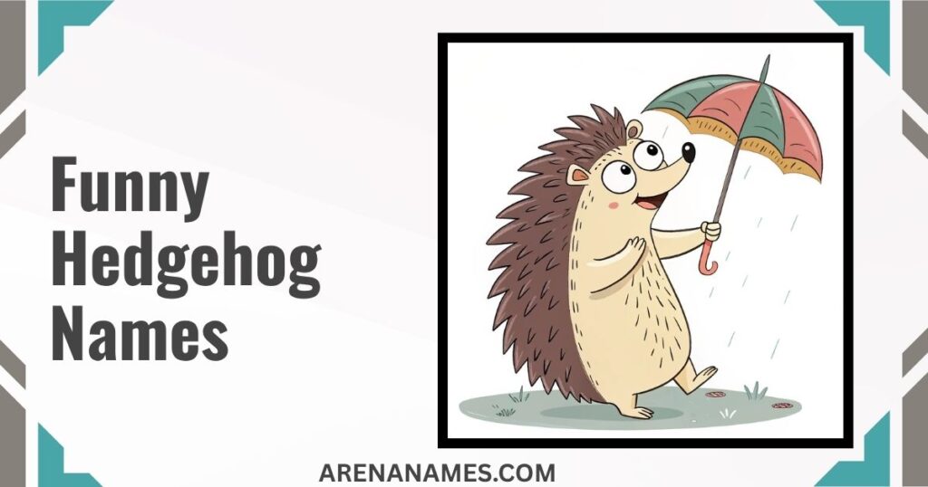 Funny Hedgehog Names
