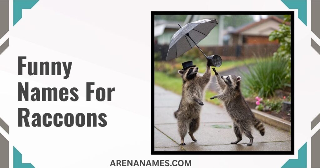 Funny Names For Raccoons