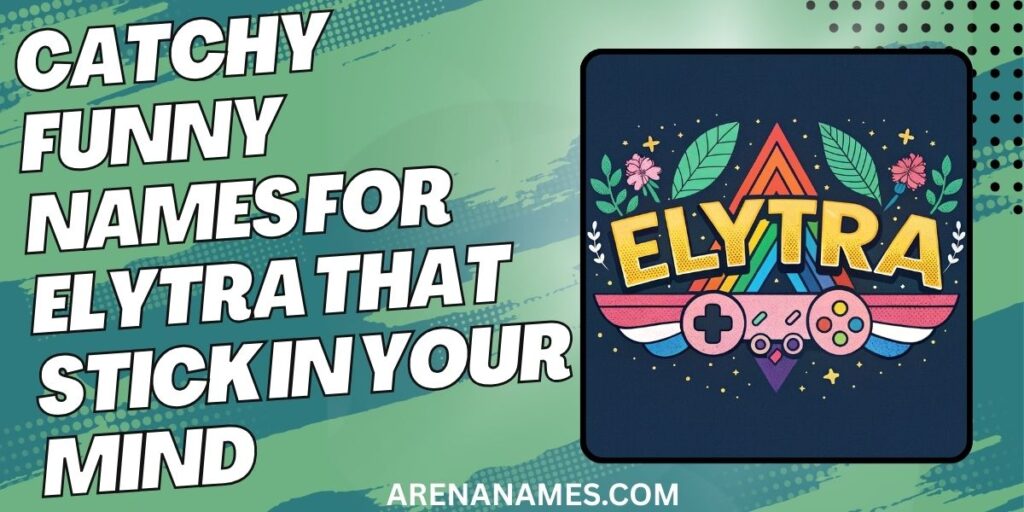 Catchy Funny Names For Elytra That Stick In Your Mind