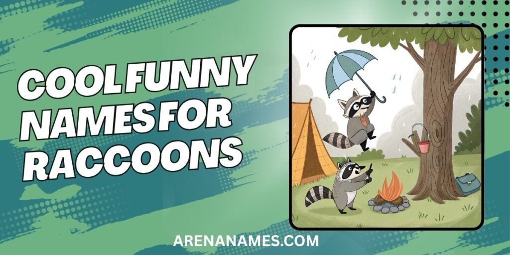 Cool Funny Names For Raccoons