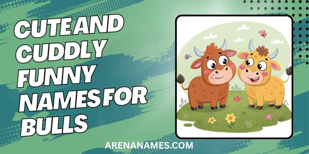 Cute And Cuddly Funny Names For Bulls