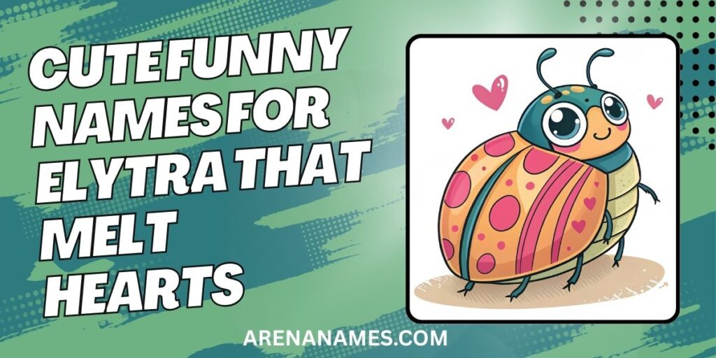 Cute Funny Names For Elytra That Melt Hearts