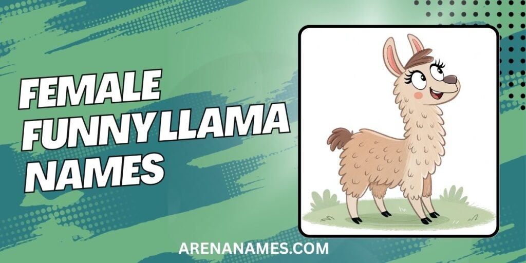 Female Funny Llama Names