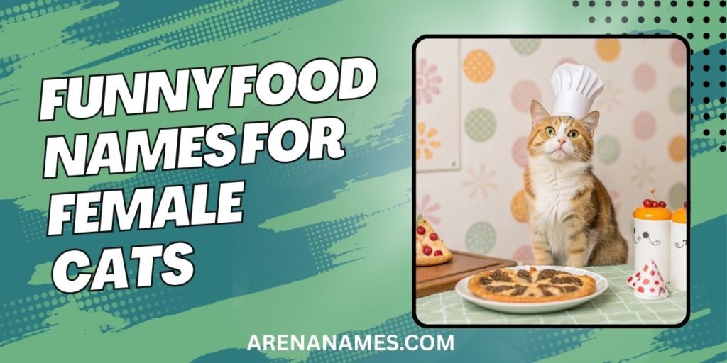 Funny Food Names For Female Cats