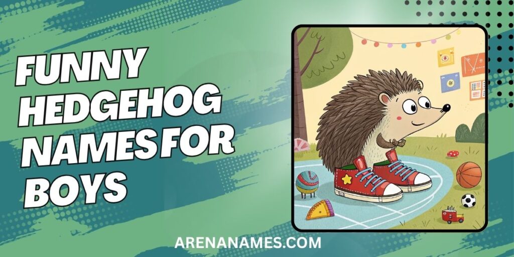 Funny Hedgehog Names For Boys