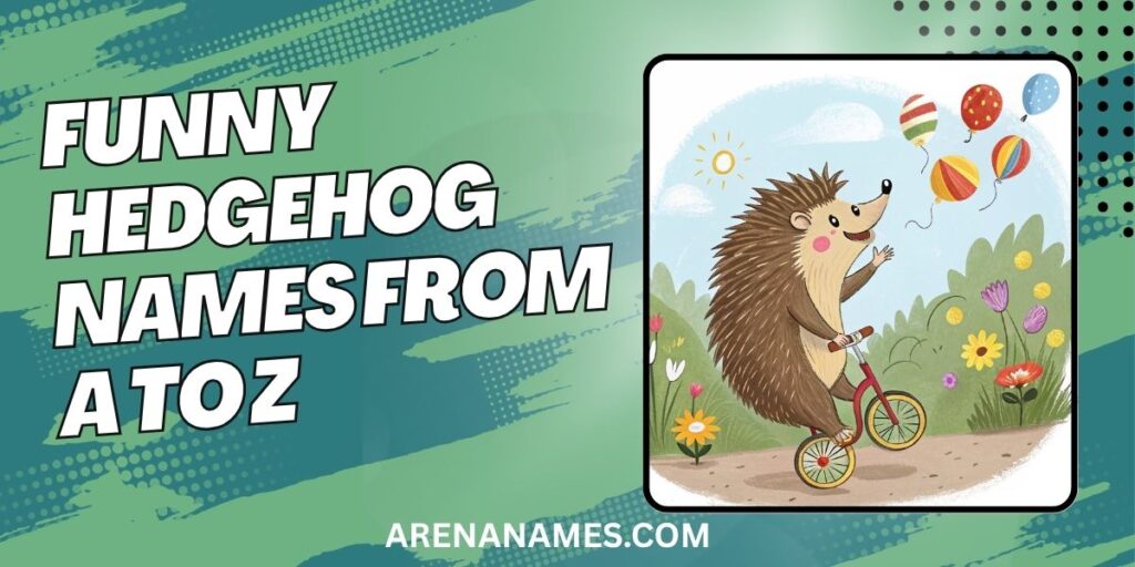 Funny Hedgehog Names From A to Z