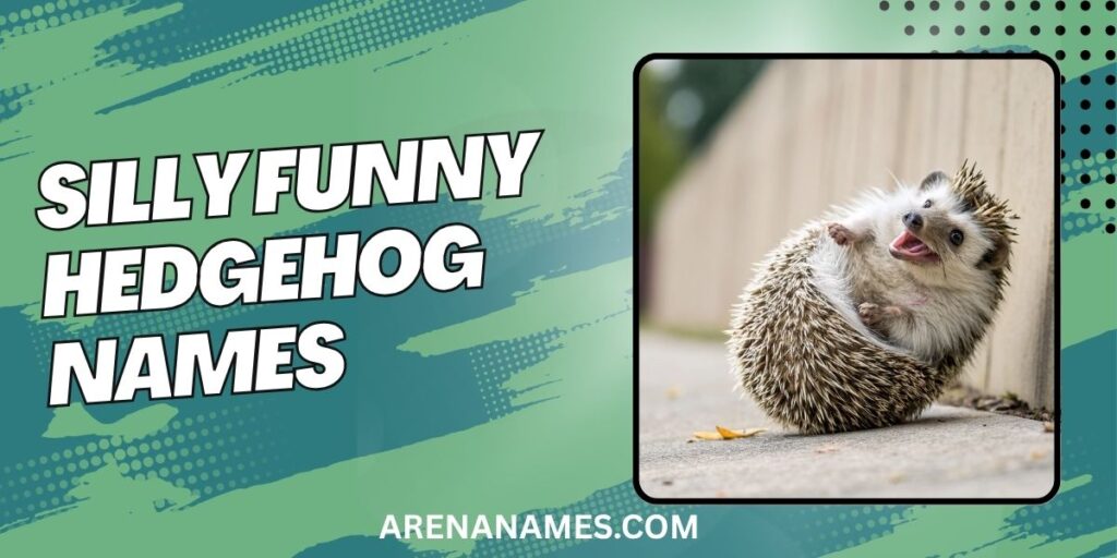 Silly Funny Hedgehog Names