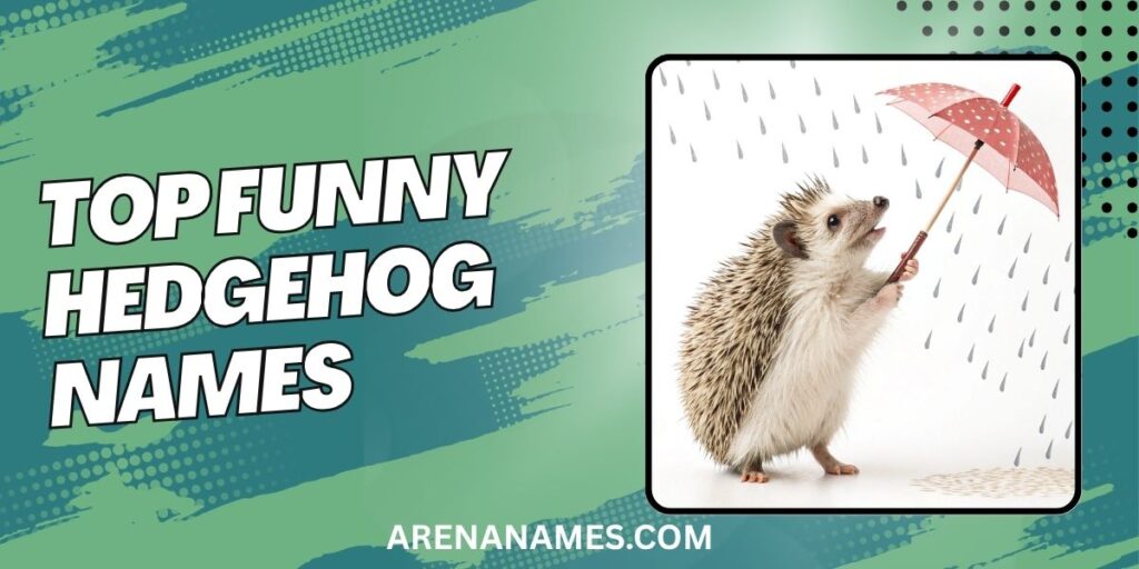Top Funny Hedgehog Names