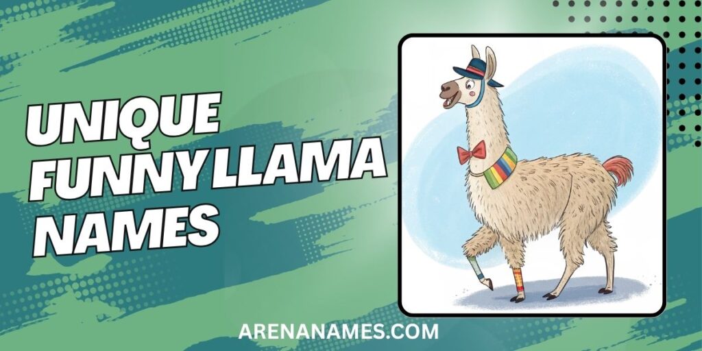 Unique Funny Llama Names