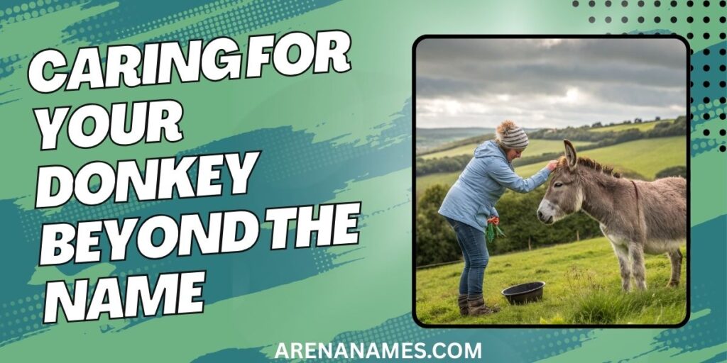 Caring For Your Donkey Beyond The Name
