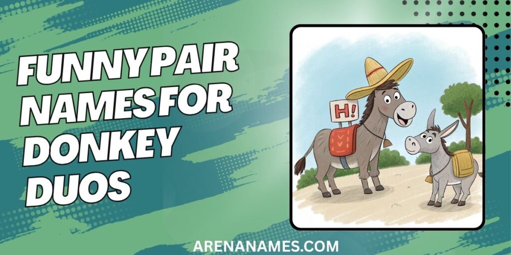 Funny Pair Names For Donkey Duos