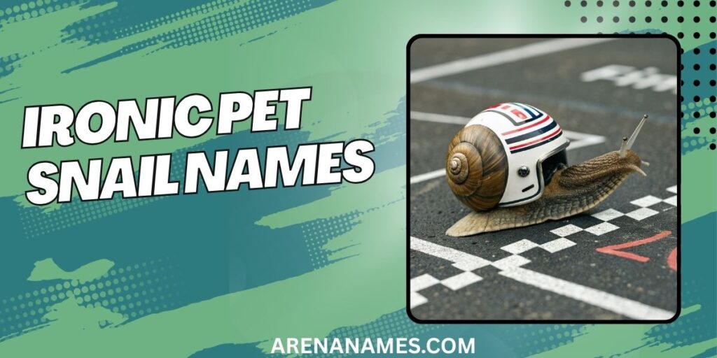 Ironic Pet Snail Names