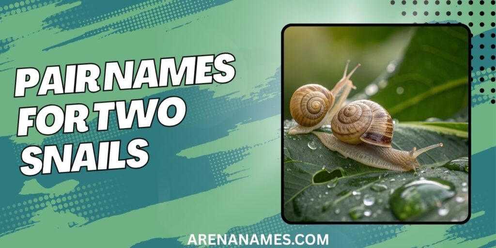 Pair Names For Two Snails