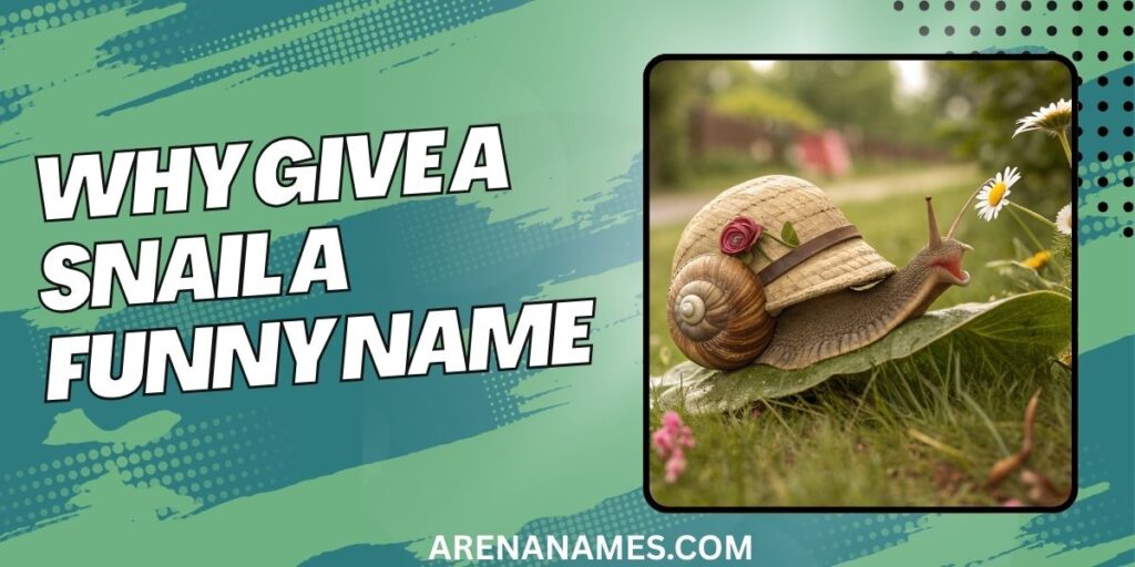 Why Give A Snail A Funny Name