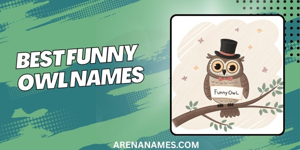 Best Funny Owl Names