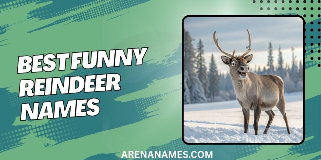 Best Funny Reindeer Names