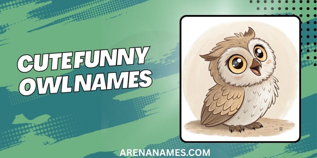 Cute Funny Owl Names