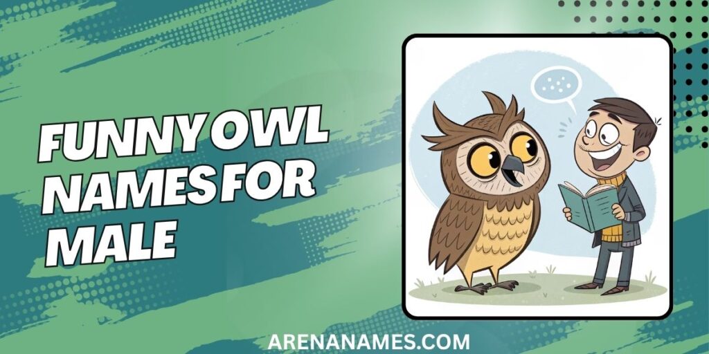 Funny Owl Names For Male