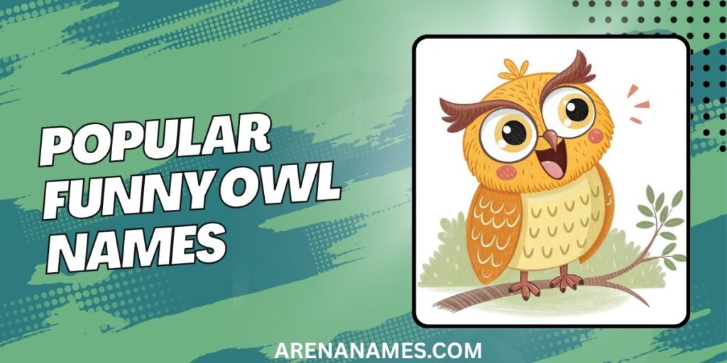 Popular Funny Owl Names