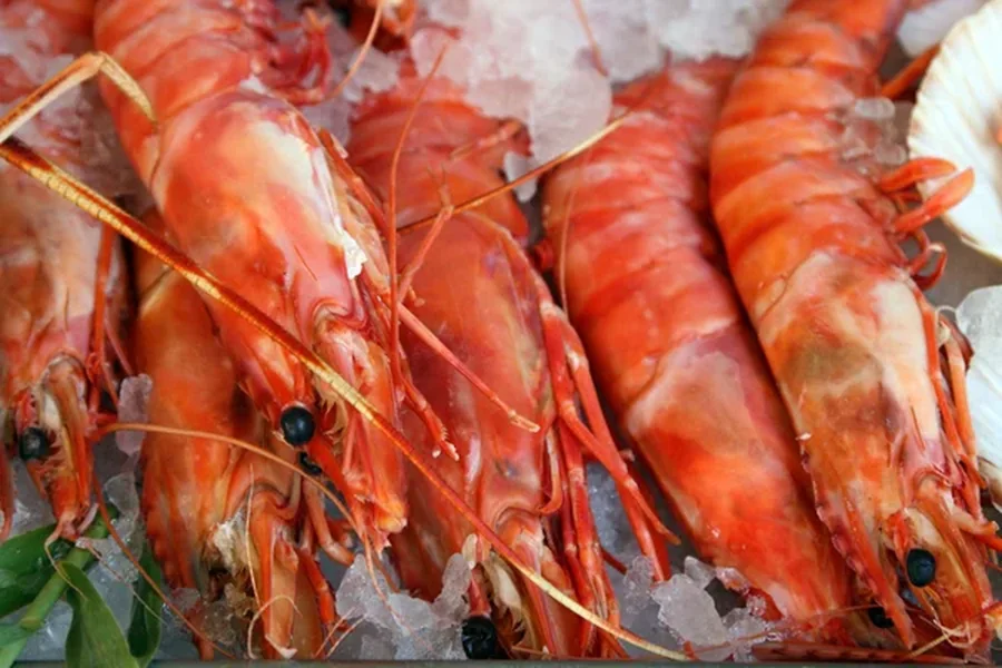 Fresh Frozen Prawns 