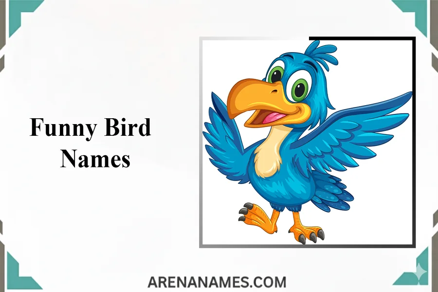 Funny Bird Names