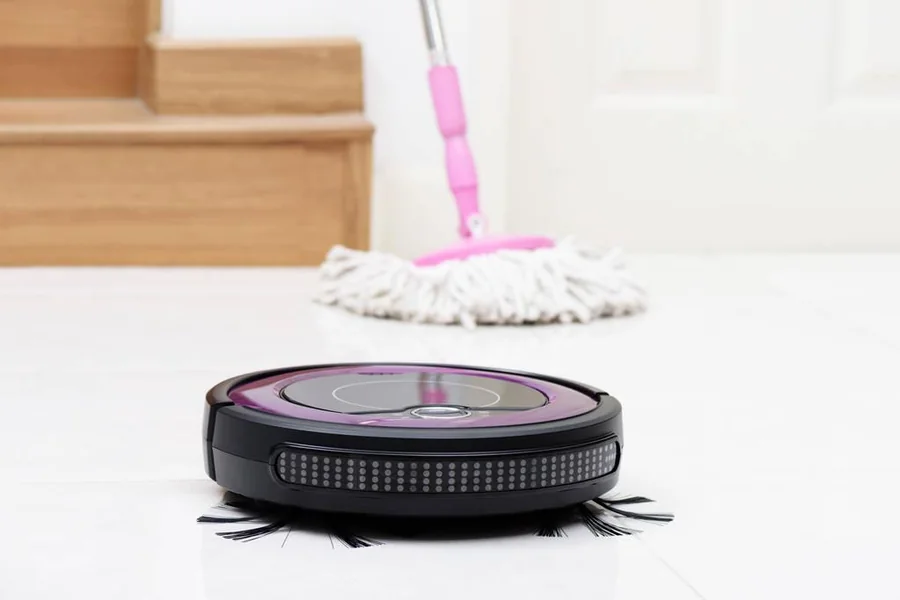 Robotic Vacuum Cleaners
