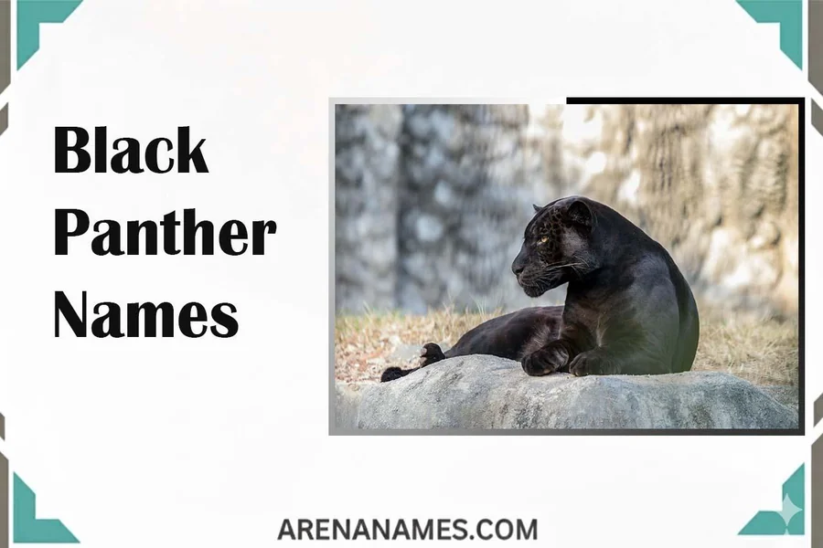 Black Panther Names