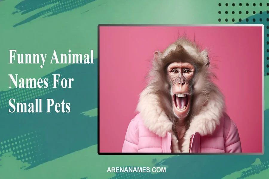 Funny Animal Names