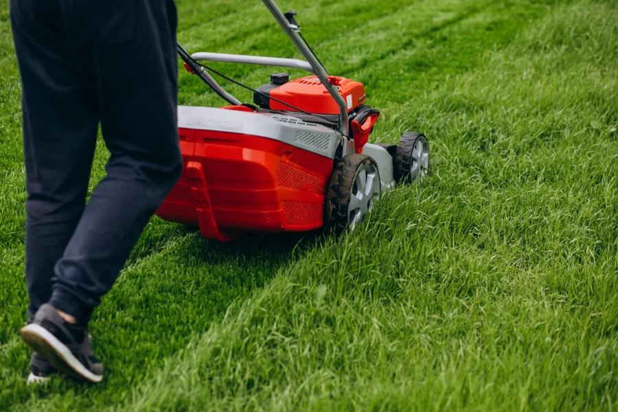 Lawn Care Services