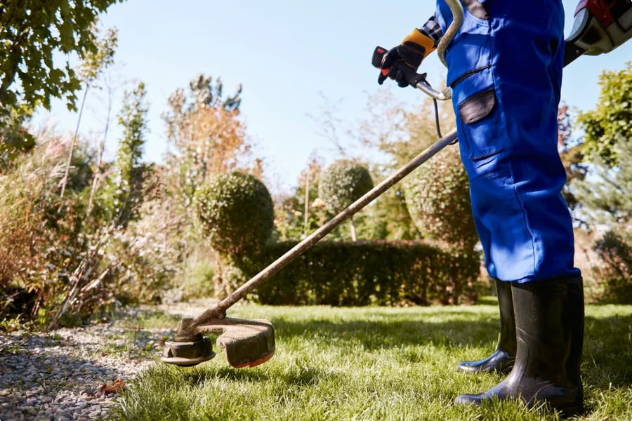 Lawn Care Services