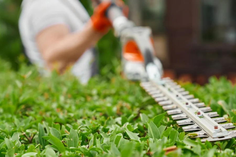 Lawn Care Services