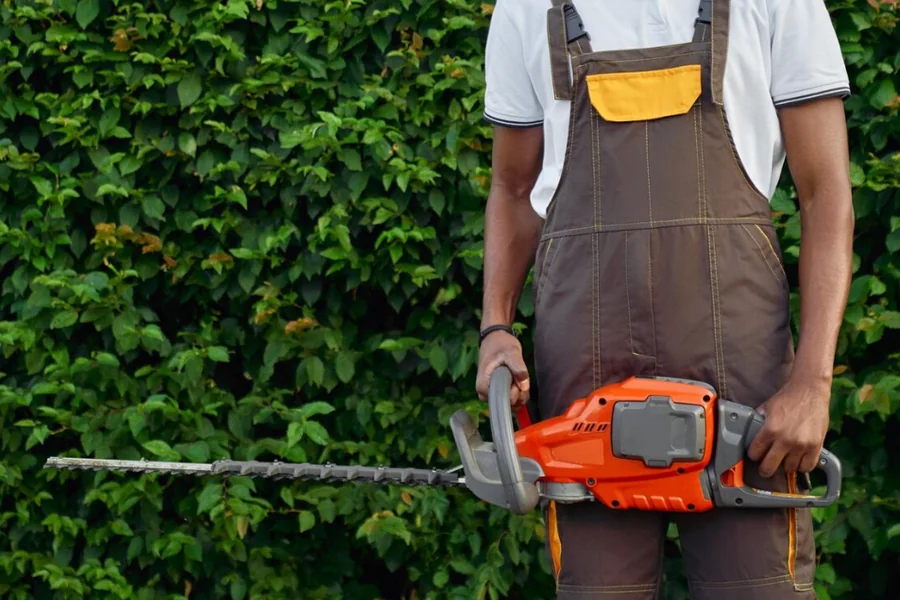 Lawn Care Services