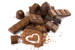 Discovering the Sweetness of The Cocoa Trees