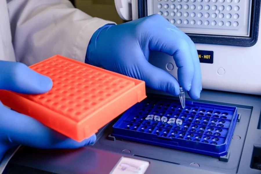 ELISA Kit 