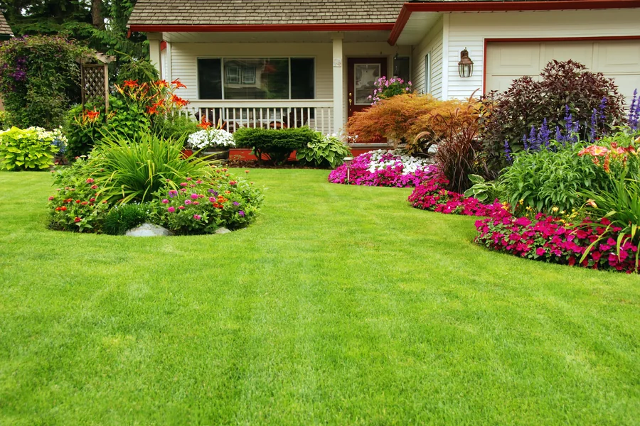 Low-Maintenance Lawns