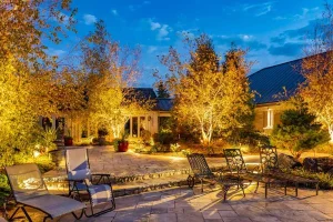How Landscape Lighting Changes the Way You Use Your Backyard After Dark