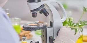 Ibogaine vs Traditional Rehab: Comparing Approaches to Addiction Recovery